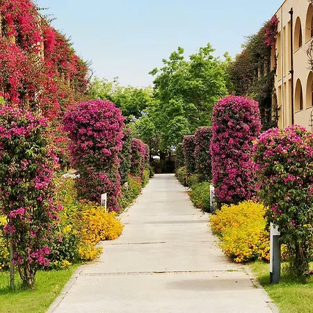 Tui Magic Life Calabria 4*